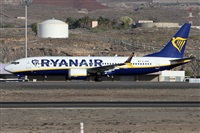 ©Alfonso Solís - Asociación Canary Islands Spotting. Click to see full size photo ©Alfonso Solís - Asociación Canary Islands Spotting. Click to see full size photo