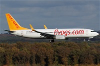 Daniel Schwinn. Haz click para ampliar