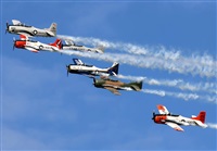 ©Javier Rodríguez. Click to see full size photo ©Javier Rodríguez. Click to see full size photo