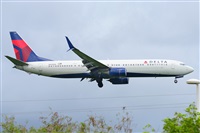 Miguel A. gueda Rguez.  (CANARY ISLANDS SPOTTING). Click to see full size photo