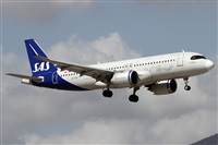 ©Alfonso Solís - Asociación Canary Islands Spotting. Click to see full size photo ©Alfonso Solís - Asociación Canary Islands Spotting. Click to see full size photo