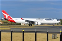 �Miguel A. �gueda Rguez.  (CANARY ISLANDS SPOTTING). Click to see full size photo