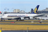 �Miguel A. �gueda Rguez.  (CANARY ISLANDS SPOTTING). Click to see full size photo
