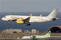 ©Adolfo Bento - Gran Canaria Spotters. Click to see full size photo ©Adolfo Bento - Gran Canaria Spotters. Click to see full size photo