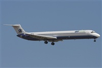 Jos Miguel Bernases - Noisy Spotters. Click to see full size photo