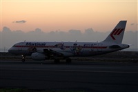 Javier de la Cruz - CANARY ISLANDS SPOTTING. Click to see full size photo