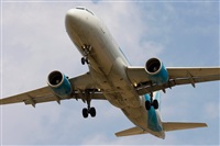 ©José Miguel Bernases - Noisy Spotters. Click to see full size photo ©José Miguel Bernases - Noisy Spotters. Click to see full size photo