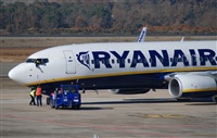 Rubn Gil - Noisy Spotters. Click to see full size photo