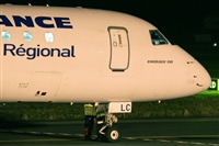 ©La Roche Spotters. Click to see full size photo ©La Roche Spotters. Click to see full size photo