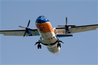 Javier de la Cruz - CANARY ISLANDS SPOTTING. Click to see full size photo