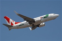 Miguel A. gueda Rguez.  (CANARY ISLANDS SPOTTING). Click to see full size photo