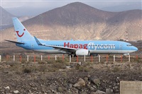 Alfonso Sols - Asociacin Canary Islands Spotting. Click to see full size photo