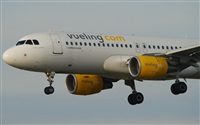Rubn Gil - Noisy Spotters. Click to see full size photo