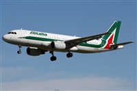 Rodrigo Carvalho - Noisy Spotters. Click to see full size photo