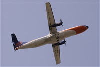 ©Alfonso Solís - Asociación Canary Islands Spotting. Click to see full size photo ©Alfonso Solís - Asociación Canary Islands Spotting. Click to see full size photo