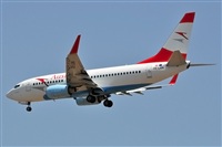 Miguel A. gueda Rguez.  (CANARY ISLANDS SPOTTING). Haz click para ampliar