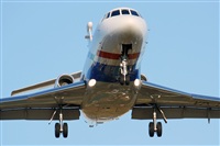 Rodrigo Carvalho - Noisy Spotters. Click to see full size photo