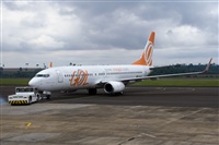 Javier de la Cruz - CANARY ISLANDS SPOTTING. Click to see full size photo