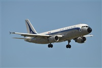 LEBL Spotter. Click to see full size photo