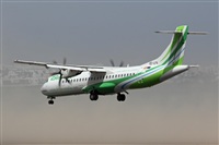 Adrin Alonso Lemes - Lanzarote Spotters. Haz click para ampliar