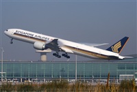 Jos Miguel Bernases - Noisy Spotters. Click to see full size photo