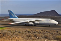 Miguel A. gueda Rguez.  (CANARY ISLANDS SPOTTING). Click to see full size photo