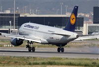 Jos Miguel Bernases - Noisy Spotters. Click to see full size photo