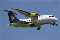 Jos Miguel Bernases - Noisy Spotters. Click to see full size photo