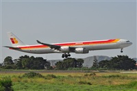 Miguel A. gueda Rguez.  (CANARY ISLANDS SPOTTING). Click to see full size photo