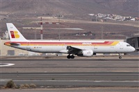 ©Alfonso Solís - Asociación Canary Islands Spotting. Click to see full size photo ©Alfonso Solís - Asociación Canary Islands Spotting. Click to see full size photo