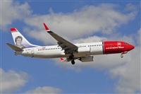 Miguel A. gueda Rguez.  (CANARY ISLANDS SPOTTING). Click to see full size photo