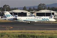 Dr. Alejandro Hndez. Spotters Mexico City. Click to see full size photo