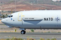 J. Victor Vega-Gran Canaria Spotters. Click to see full size photo