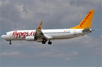 Rubn Gil - Noisy Spotters. Click to see full size photo