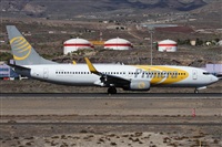 ©Alfonso Solís - Asociación Canary Islands Spotting. Click to see full size photo ©Alfonso Solís - Asociación Canary Islands Spotting. Click to see full size photo