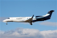 Miguel Alia - Noisy Spotters. Click to see full size photo