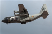 Bartolom Fernndez - Gran Canaria Spotters. Click to see full size photo