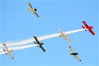 Ana L@dy Spotter. Click to see full size photo