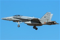 Bartolom Fernndez - Gran Canaria Spotters. Haz click para ampliar