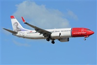 Miguel A. gueda Rguez.  (CANARY ISLANDS SPOTTING). Click to see full size photo