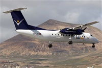 Adrin Alonso Lemes - Lanzarote Spotters. Click to see full size photo