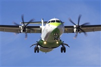 Saimon J Rodriguez   -   Canary Islands Spotting. Click to see full size photo