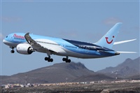 ©Alfonso Solís - Asociación Canary Islands Spotting. Click to see full size photo ©Alfonso Solís - Asociación Canary Islands Spotting. Click to see full size photo