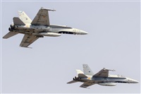 Paco Muoz Arencibia - Gran Canaria Spotters. Click to see full size photo