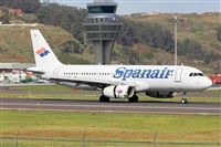 ©Nacho Rodriguez - Canary Islands Spotting. Click to see full size photo ©Nacho Rodriguez - Canary Islands Spotting. Click to see full size photo