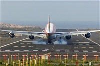 ©Manuel Acosta Zapata LMDT Spotters. Click to see full size photo ©Manuel Acosta Zapata LMDT Spotters. Click to see full size photo