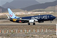 ©Alfonso Solís - Asociación Canary Islands Spotting. Click to see full size photo ©Alfonso Solís - Asociación Canary Islands Spotting. Click to see full size photo