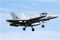 Adrin Alonso Lemes - Lanzarote Spotters. Click to see full size photo