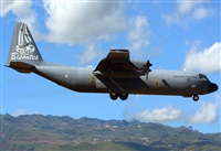 ©Alejandro H.L - Gran Canaria Spotters. Click to see full size photo ©Alejandro H.L - Gran Canaria Spotters. Click to see full size photo