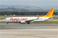 Nacho Rodriguez - Canary Islands Spotting. Click to see full size photo